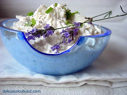 elmalı kereviz salatası